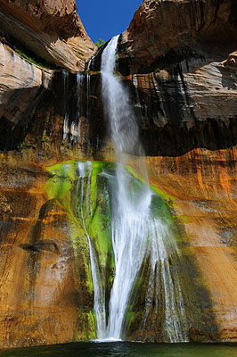 DSC_2243.jpg (4288x2848) NIKON D300 - 18-200mm f/3.5-5.6 // F25 // 0.05 sec // ISO 200 // 24,0 mm // no Flash // 2008:07:14 10:25:58 DSC_2243.jpg (4288x2848) NIKON D300 - 18-200mm f/3.5-5.6 // F25 // 0.05 sec // ISO 200 // 24,0 mm // no Flash // 2008:07:14 10:25:58